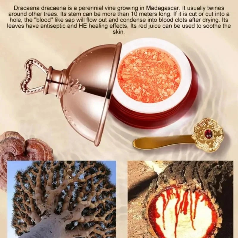 Dragon's Blood Firming Face Cream with Retinol